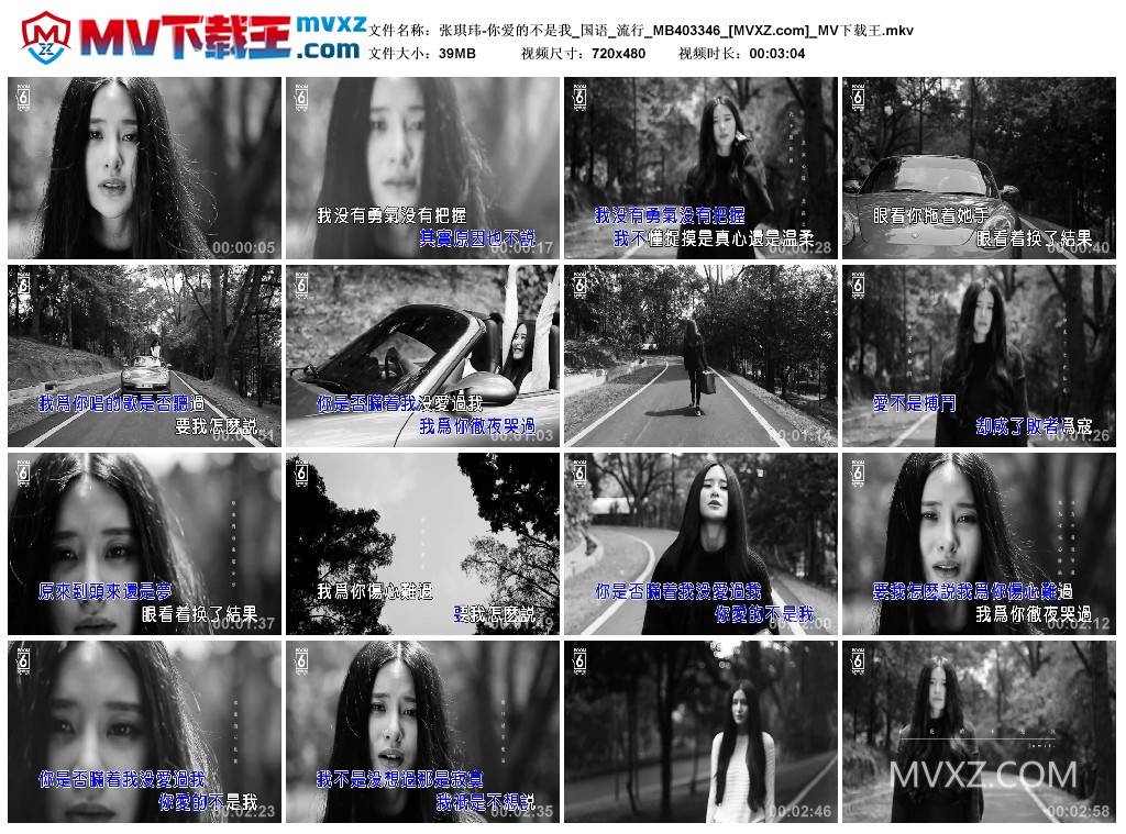 张琪玮-你爱的不是我_国语_流行_MB403346